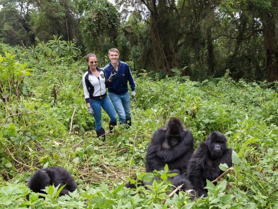 combining-gorilla-safaris-for-rwanda-and-uganda