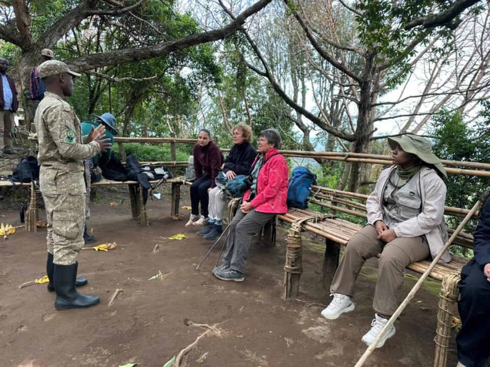 can-i-cross-from-rwanda-to-uganda-for-gorilla-trek