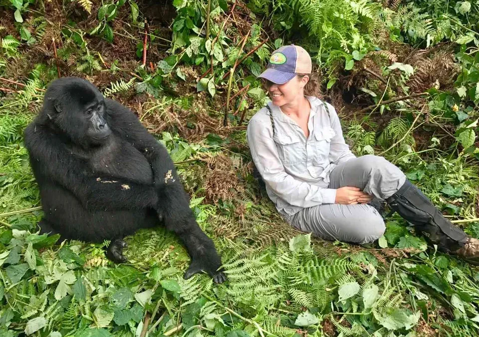 budget-vs-luxury-rwanda-gorilla-safaris