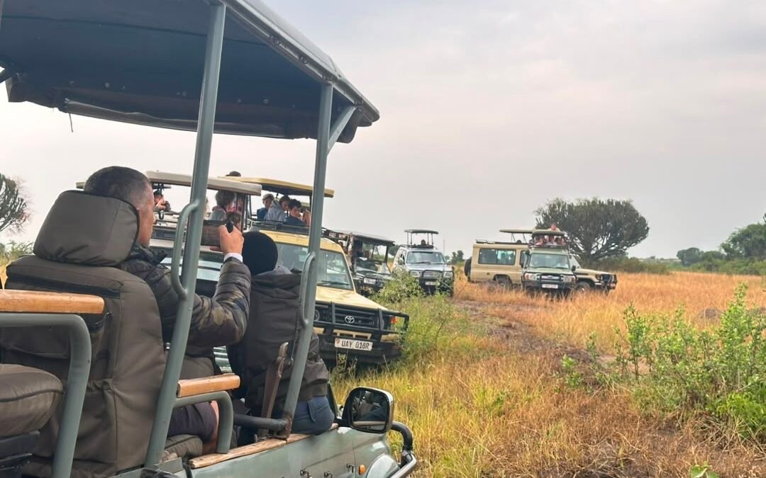 where-to-see-lions-on-rwanda-safaris